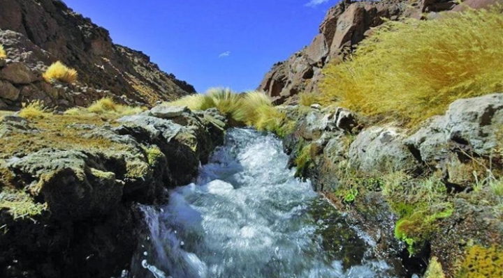 Cronología: Así fue la disputa sobre el estado y uso de las aguas del Silala entre Chile y Bolivia 