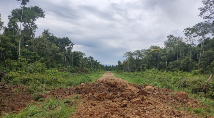 Gobierno confirma hallazgo de pista clandestina en el parque Noel Kempff y continúa el operativo antidroga  