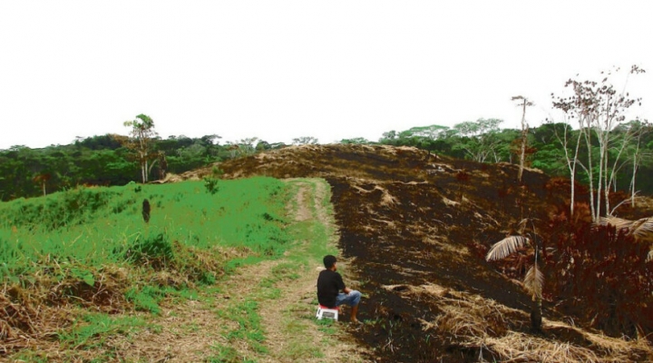 Ley de la UE contra deforestación tendría efecto adverso en América Latina