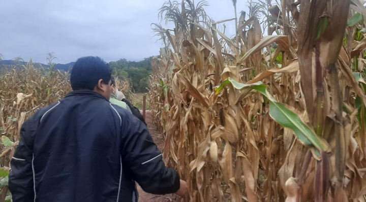 La sequía podría extenderse más allá de marzo de este año, alerta Defensa Civil