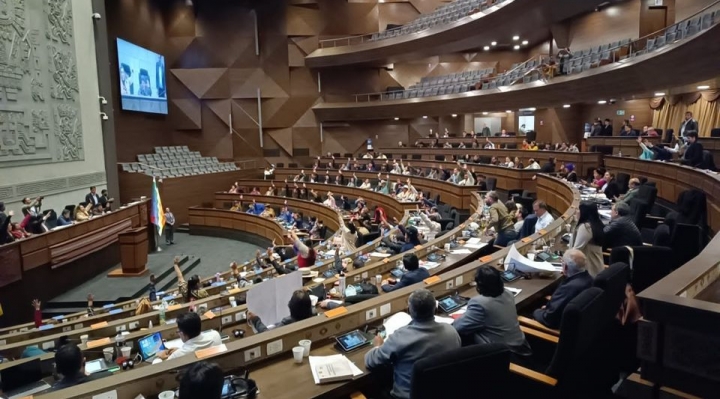 Las dos facciones del MAS aprueban la Convocatoria y Reglamento para preselección de candidatos judiciales