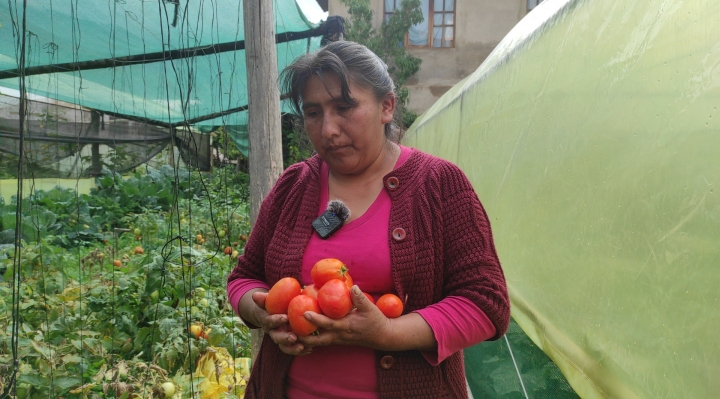 Huertos Urbanos: cultivando resiliencia en el corazón de las ciudades