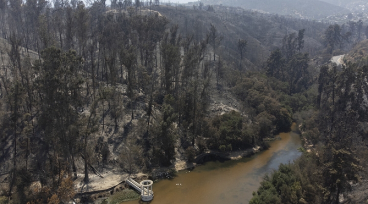 La intencionalidad de los incendios en Chile está "completamente confirmada", dice el gobernador de Valparaíso