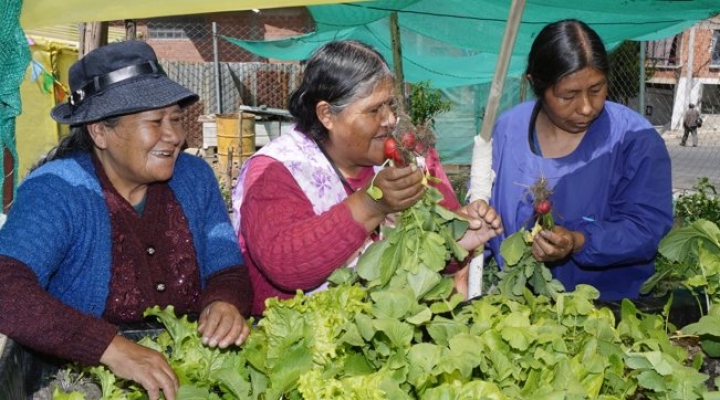 ONU Bolivia hace un llamado para asegurar la inversión que acelere el paso hacia la igualdad