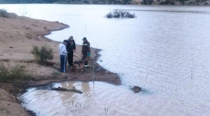 Hallan cuerpo de mujer sin vida en un turril en Sucre, la muerte data de hace un mes y medio 