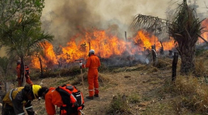 Bolivia es el tercer país que más devasta sus bosques tropicales en el mundo