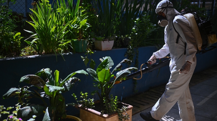 Brasil supera los tres millones de casos de dengue este año