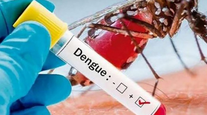 Suman 11 muertes por dengue en el país y recomiendan acudir de inmediato a centros de salud