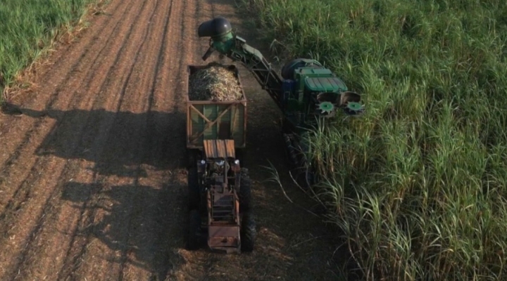 Ante “no tenemos plata” y “el gas se agotó”, la CAO afirma que el agro es la solución, pero pide atención a 5 temas