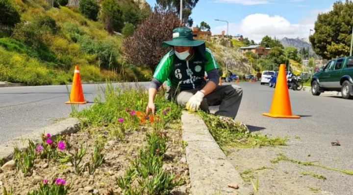 Emaverde prevé que la limpieza  de áreas verdes en los 7 macrodistritos  urbanos concluya a finales de junio