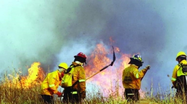 Chiquitania: continúan los trabajos para combatir el fuego y llegan brigadistas del exterior para apoyar en la campaña