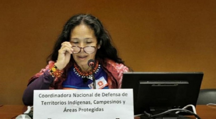 Indígenas y activistas denuncian a Morales ante la ONU por incendios, extractivismo y omisión de consulta