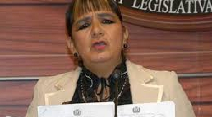 Senadora Gonzales presenta recurso de inconstitucionalidad contra la ley que fija fecha de elecciones