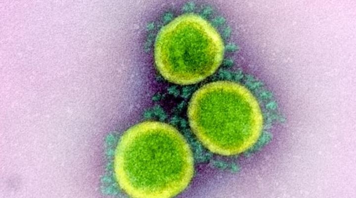 Científicos descubren un nuevo punto débil del coronavirus