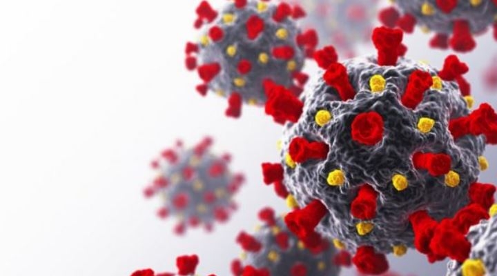 El punto débil del coronavirus que encontró una científica mexicana y cómo puede servir para neutralizarlo