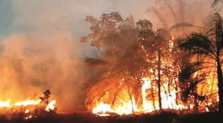 Gobierno de Canadá apoya la prevención de incendios forestales en el parque Kaa Iya-Defensores