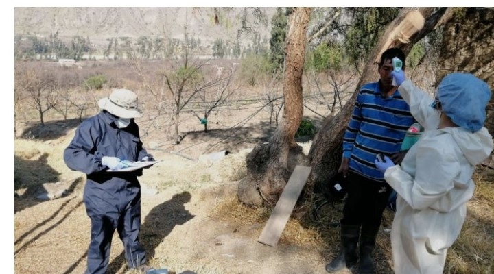 SEDES La Paz realizará un “megarrastrillaje” en el área rural entre el 15 al 17 de septiembre