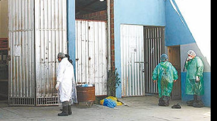 Fallecen cuatro personas en sauna artesanal donde pretendían tratarse del coronavirus