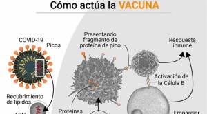 Cómo la tecnología molecular de ARN mensajero cambiará el curso de varias enfermedades