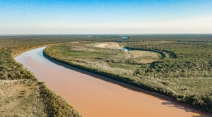 Deforestación en el Gran Chaco: La bomba de carbono que el mundo ignora