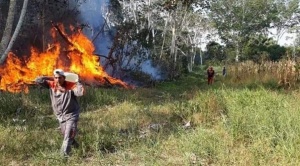 Incendio en el Pilón Lajas: Consejo Regional Tsimán Mosetén y Tacana clama por ayuda internacional
