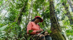 Pueblos indígenas recibirán $us 1,7 mil millones en reconocimiento a su rol de protectores de bosques