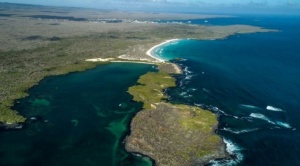 Medio ambiente: en qué consiste el corredor libre de pesca más grande en aguas de América Latina acordado en la COP26