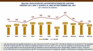 Bolivia lidera la producción de castaña con más de 21.000 toneladas anuales en el mundo