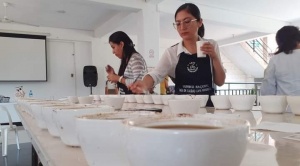 Villa Tunari produce el mejor café en Bolivia, según expertos de EEUU, Francia y República Checa