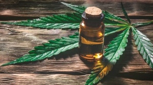 Arias propone discutir el uso del cannabis medicinal