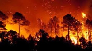 CAO lanza campaña de prevención de incendios forestales ¡Con el fuego no se juega! 