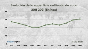 El incremento de los cultivos de coca fue sostenido en los últimos 10 años en Bolivia, según la ONUDC