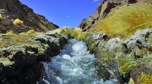 Cronología: Así fue la disputa sobre el estado y uso de las aguas del Silala entre Chile y Bolivia  1