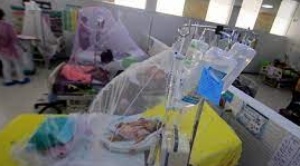Piden declarar alerta sanitaria en Beni por casos de dengue, donde se registraron 5 muertes
