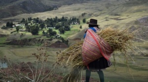 Opinión / Las mujeres trabajadoras están olvidadas en Bolivia 1