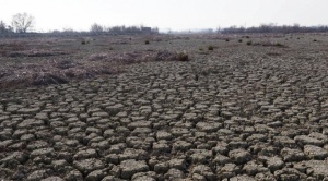 FAO advierte de riesgos en América Latina ante el fenómeno del "Niño"