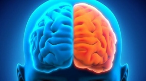 Ni la creatividad está a la derecha ni la lógica a la izquierda: el neuromito de los hemisferios cerebrales