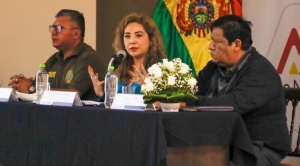 Aduana emite reglamento de "identificación" de vehículos de carga y buses para "respaldar su nacionalización"  2