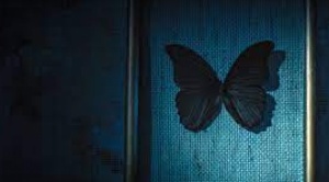 Las mariposas negras en Netflix