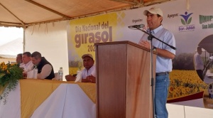 Día del Girasol: destacan que su exportación es con valor agregado y genera más divisas para el Estado