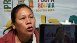 Dirigente de Mujeres Indígenas denuncia que la contaminación minera acaba con la vida de su gente