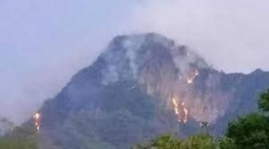 Sequía, inundaciones e incendios azotan a Bolivia; hay un desparecido y 232 mil familias damnificadas
