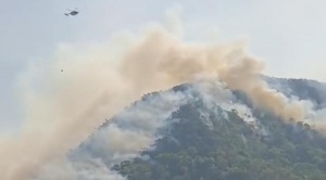 Gobierno reporta cinco incendios activos en Santa Cruz, La Paz y Beni