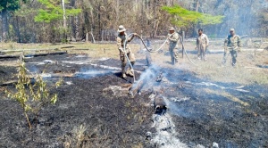 Gobierno invierte entre $us 5.000 y 6.000, la hora, en helicópteros destinados a apagar incendios forestales