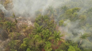Incendios quemaron más de 3,3 millones de ha en el país, afectando más a Beni, Santa Cruz y La Paz 1