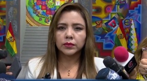 Alcón: el Presidente aún evalúa su agenda para definir si viaja a posesión de Milei 1