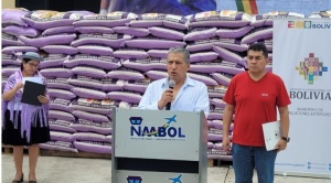 Bolivia enviará arroz, fideo, harina, leche, azúcar y medicamentos a damnificados por incendios en Chile