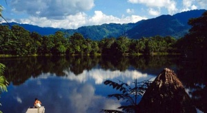 La ONU premia a un proyecto medioambiental peruano que rehabilita bosques en los Andes 1