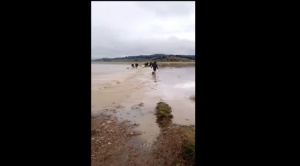 Por inundaciones, Huarina se declara zona de desastre, unas 2.700 familias perdieron cultivos