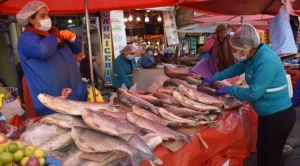 Recomendaciones para comprar pescado fresco y mariscos por Semana Santa 1